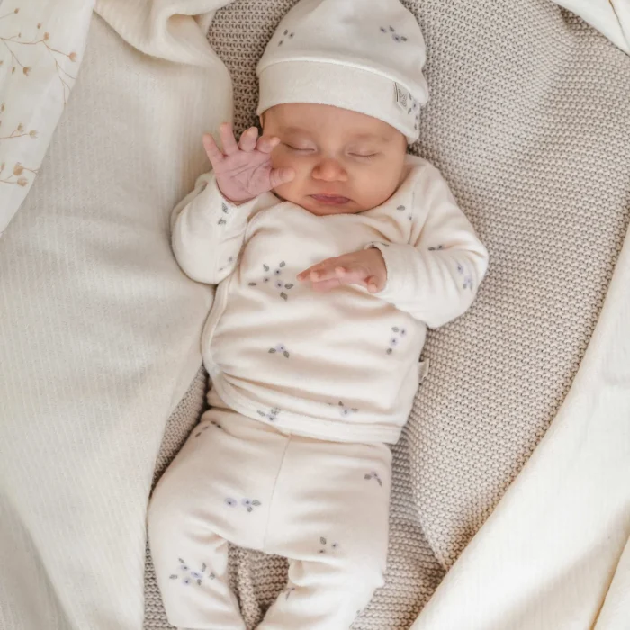 Blueberry_Flower_7_van_21_6d290cd7-243d-4504-a9cb-1bdaaf0dfcc7